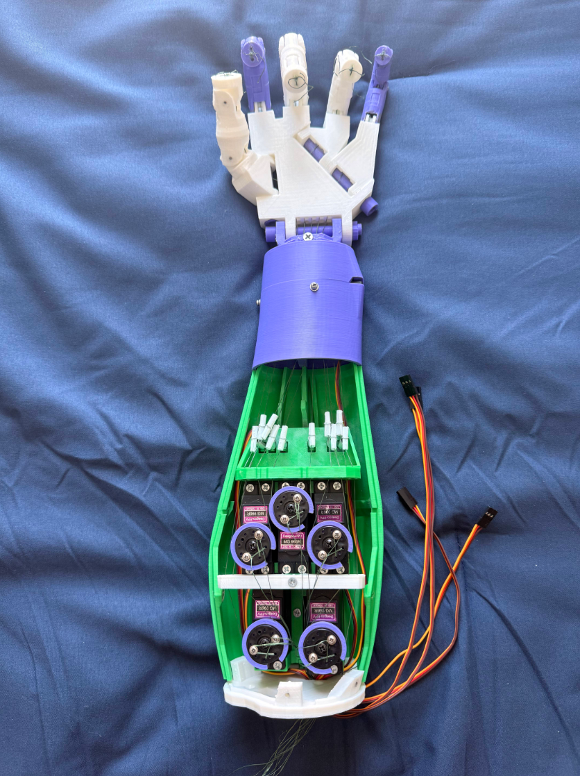 Inside the arm: servos with pulleys that pull string 'tendons' to actuate the joints.